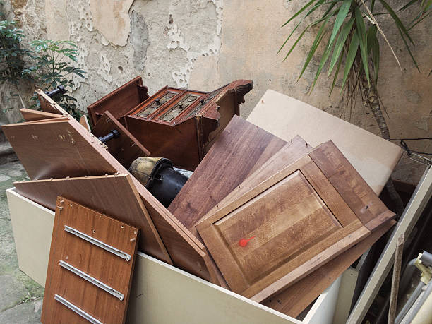 Best Yard Waste Removal  in Faribault, MN